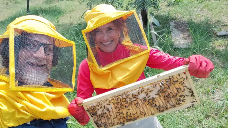Persone e miele nell’attività di apicoltura Riva di Conegliano
