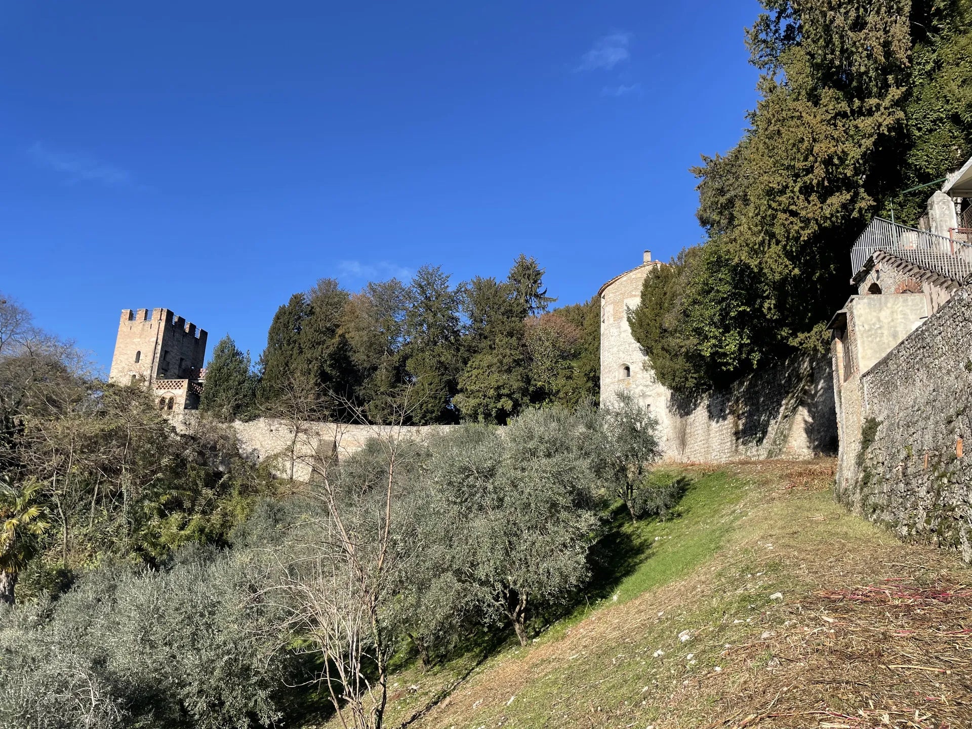 Castello e collina di Conegliano visti dall’uliveto Riva