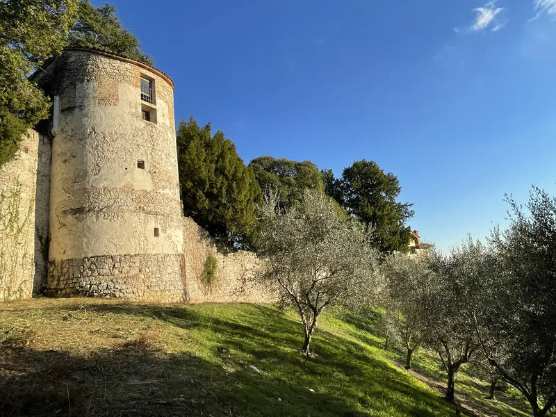 Scorcio dell’uliveto Riva di Conegliano