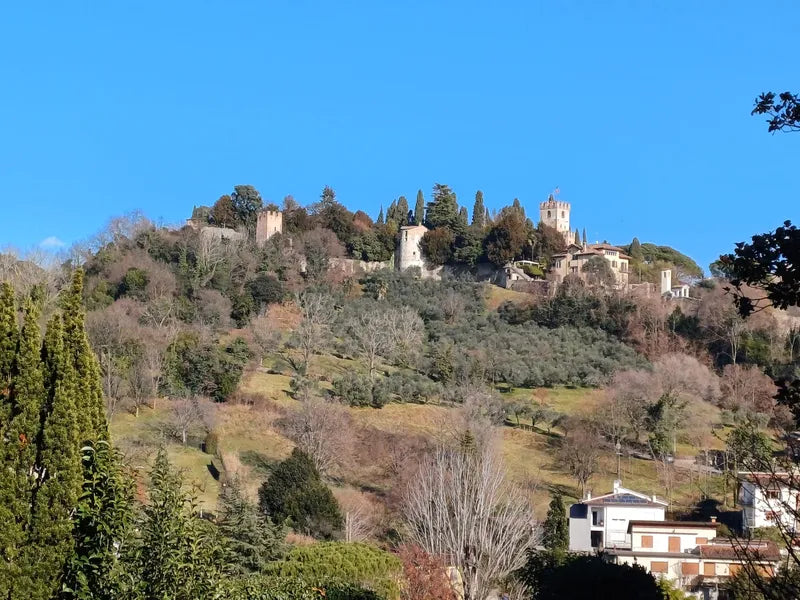 Vista sul centro storico di Conegliano dall’uliveto