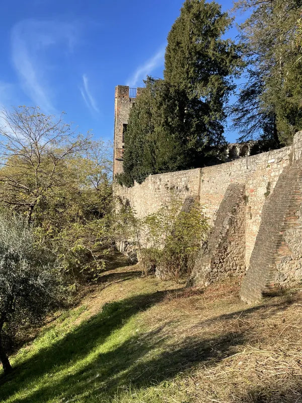 Sentiero e muri in pietra nell’uliveto