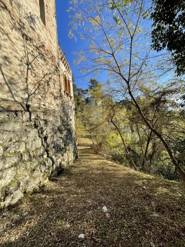Dettaglio delle antiche mura vicino all’uliveto